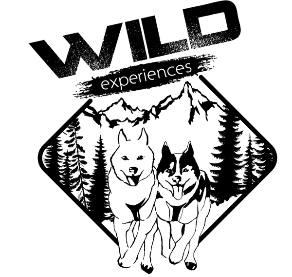 Wild%20expe%cc%81rience